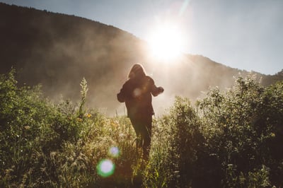 Hiking Trails Near Angeles Institute