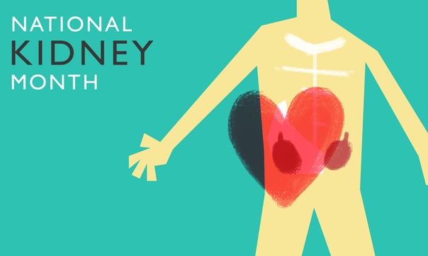 kidney2.png kidney2.png